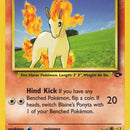 Blaine's Ponyta