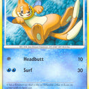 Buizel