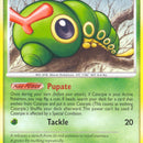 Caterpie