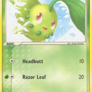 Chikorita