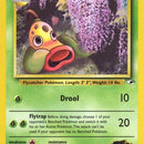 Erika's Weepinbell (48)