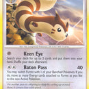 Furret