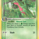 Grovyle - 32/109