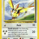 Koga's Pidgey (80)