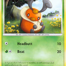 Kricketot