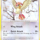 Pidgeotto