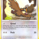 Pidgey