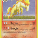 Rapidash