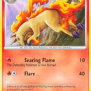 Rapidash (47)
