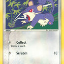 Rattata