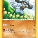 Riolu (76)