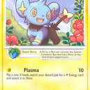 Shinx