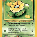 Skiploom
