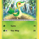 Snivy (1)