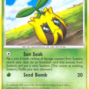 Sunkern