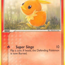 Torchic
