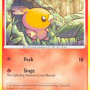 Torchic