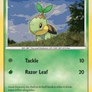 Turtwig
