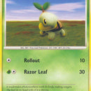 Turtwig (77)