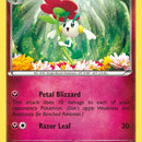 Floette (65)